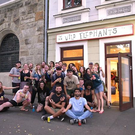 Wild Elephants Hostel Bratislava Exterior foto